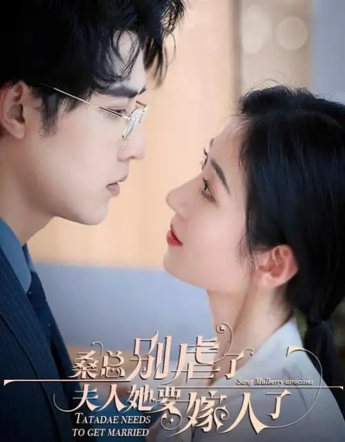 悬疑刑侦剧《暗河档案》全集在线观看